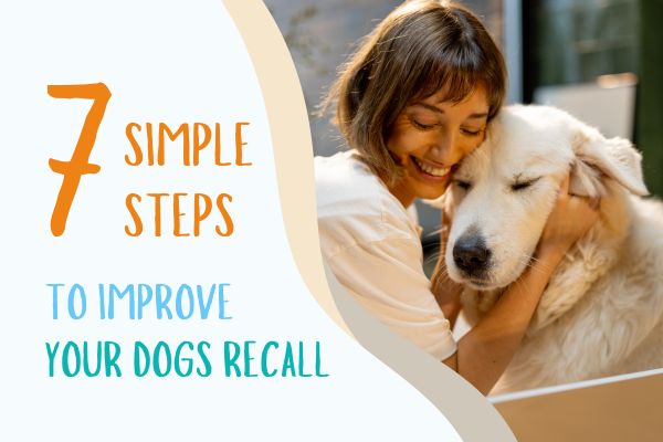 7 Simple Steps to Improve Your Dog’s Recall