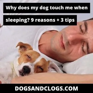 why does my dog have to touch me when sleeping