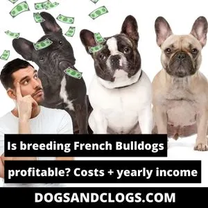 how much does it cost to breed french bulldogs