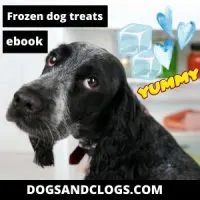 Frozen Dog Treats Ebook